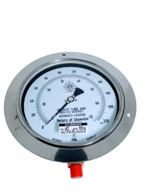 PNEUMOFATOMETRO PG-SFDS DS 6 , FSW/MSW,225/70 BT/CTF/F11/2