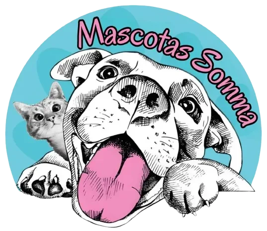 Galletas Cat Snack Marben Rellena 80 g