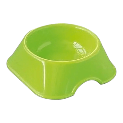 Plato Hamster1
