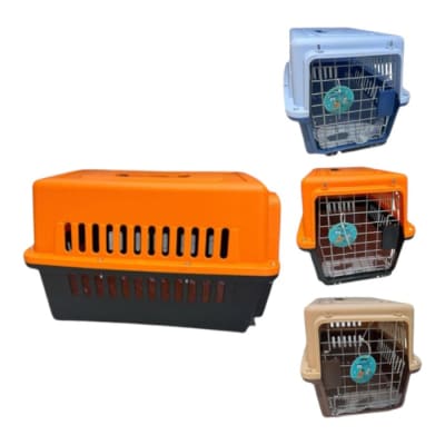 Transportador Plastico1