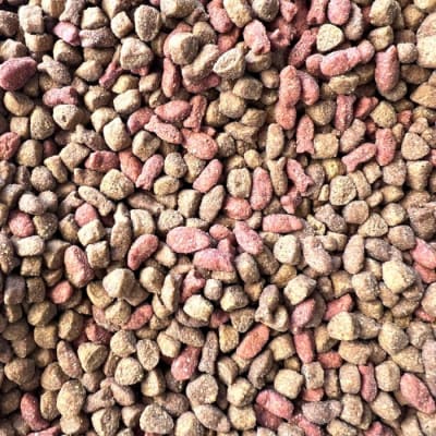 Champion cat adulto pescado GRANEL1