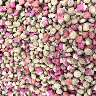Master cat carne GRANEL1