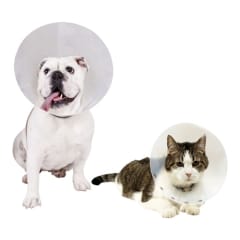 Collar Isabelino 12,5