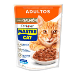 Sachet Master Cat Salmon 85 g