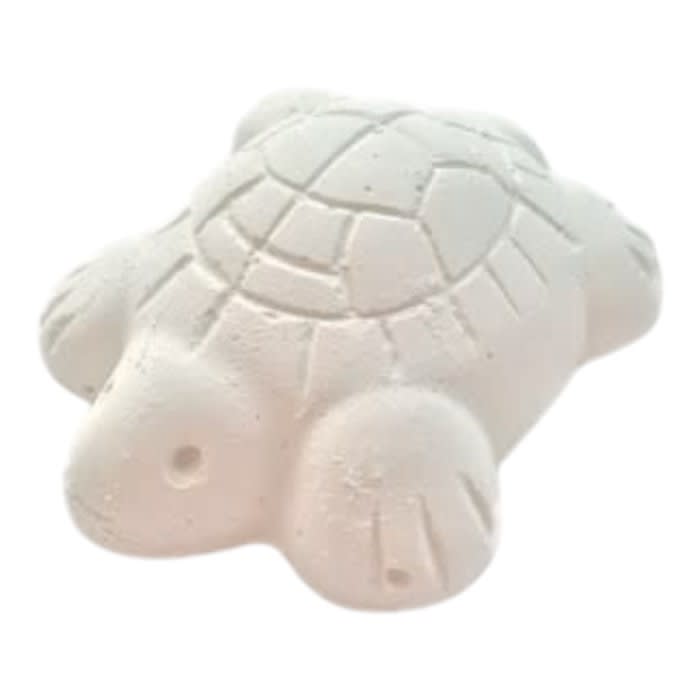 Calcio Tortuga