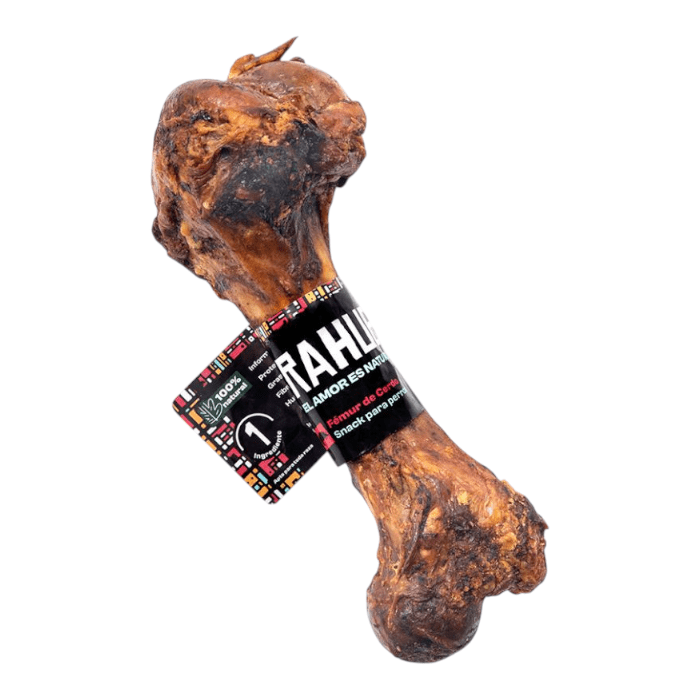Hueso Femur Cerdo