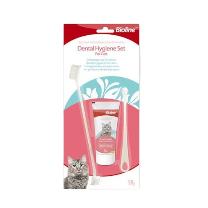 Set Dental Gato