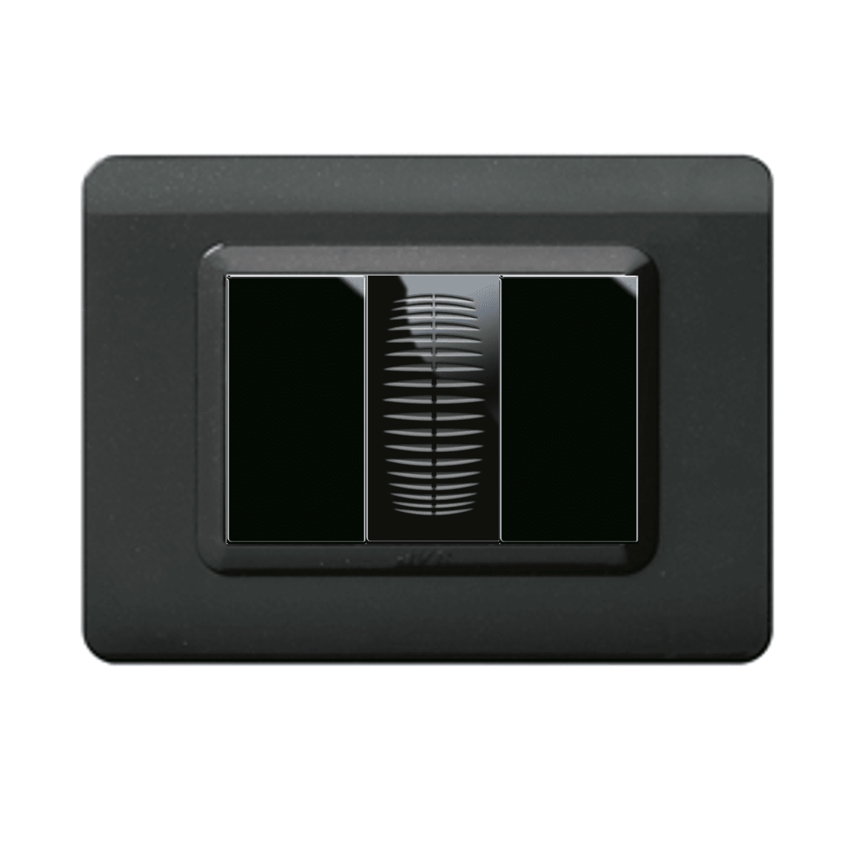 PLACA TIMBRE + PLACA CHICHARRA NEGRO BRILLANTE2