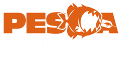Tienda de Pesca Deportiva en Chile  |  Pesca Outlet
