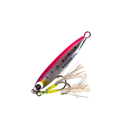 SAKANA JIGU SHORE 50g1