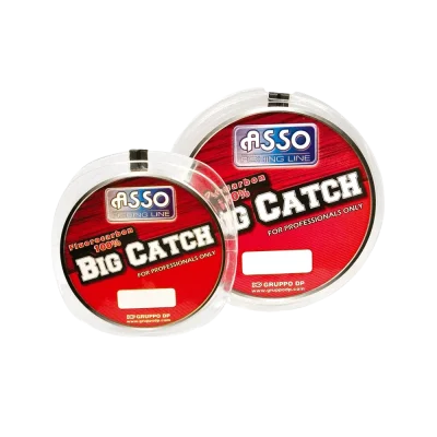 FLUOROCARBONO ASSO BIG CATCH 100% 150m - 0.30mm1