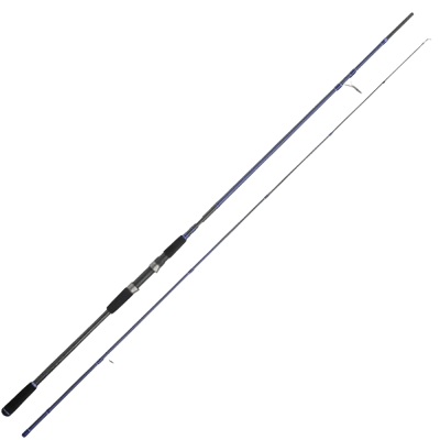 CINNETIC BLUE LINE SEABASS MH 3.3m - 40-120g1
