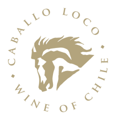 CABALLO LOCO