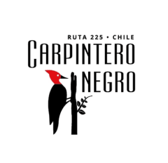 Carpintero Negro