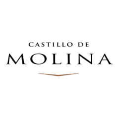CASTILLO DE MOLINA