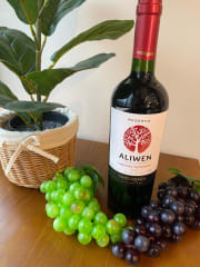 Vino Aliwen Reserva Undurraga  750cc