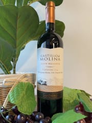 Vino Castillo de Molina Gran Reserva 750cc