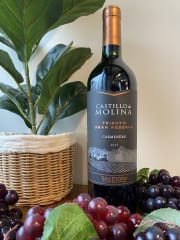 Vino Castillo de Molina Tributo 750cc