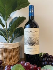 Vino Concha y Toro The Wine 750cc