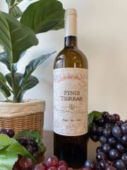 Vino Cousiño Macul Finis Terrae 750cc