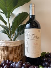 Vino Cousiño Macul Dama de Plata Cabernet Sauvignon 750cc