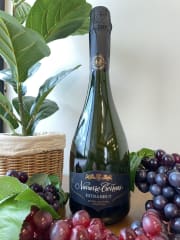 Espumante Navarro Correas Extra Brut 750cc