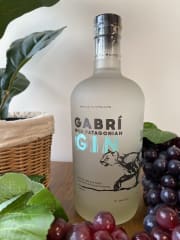 Gin Gabri 40° 750 cc