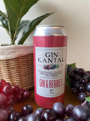 Gin Kantal Lata 470cc