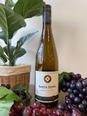 Vino Santa Digna Reserva Gewurztramine 750cc