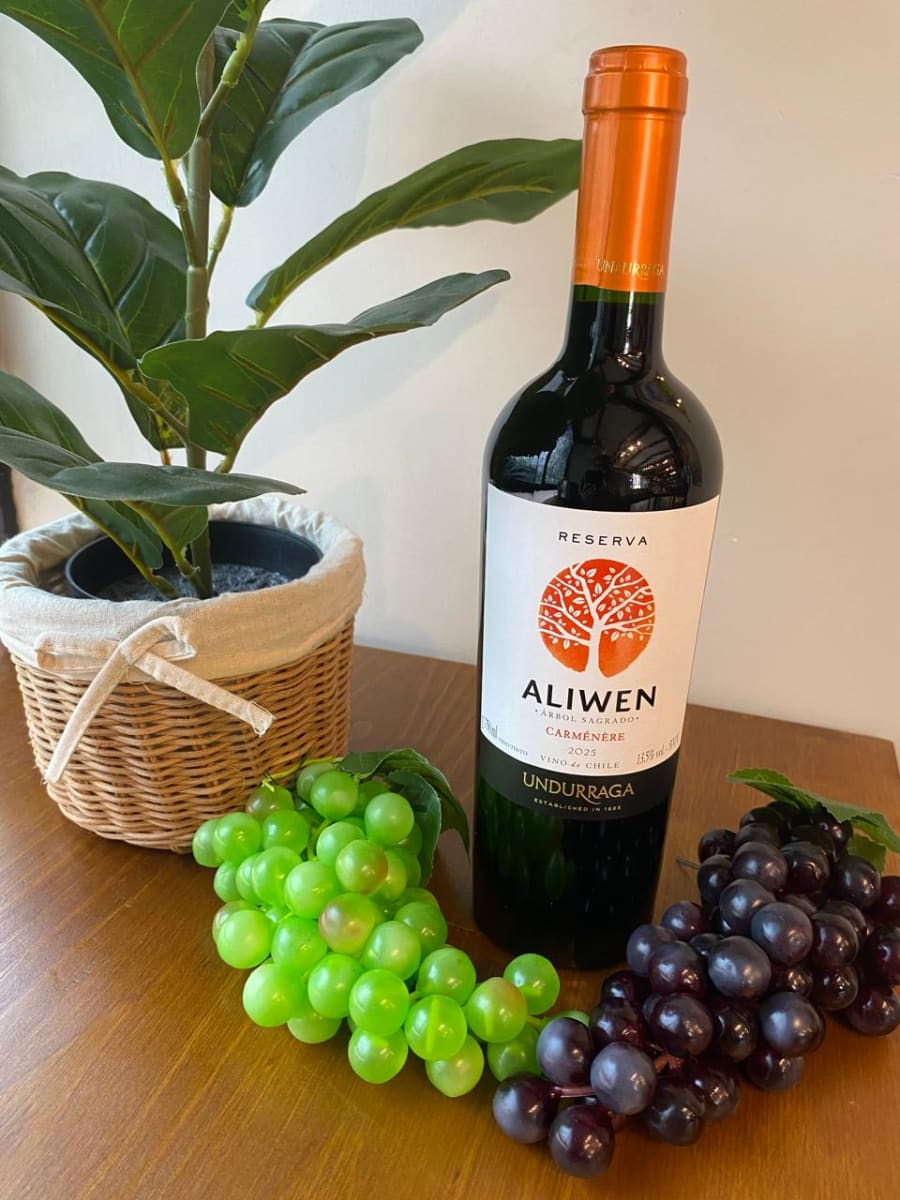 Vino Aliwen Reserva Undurraga  750cc2