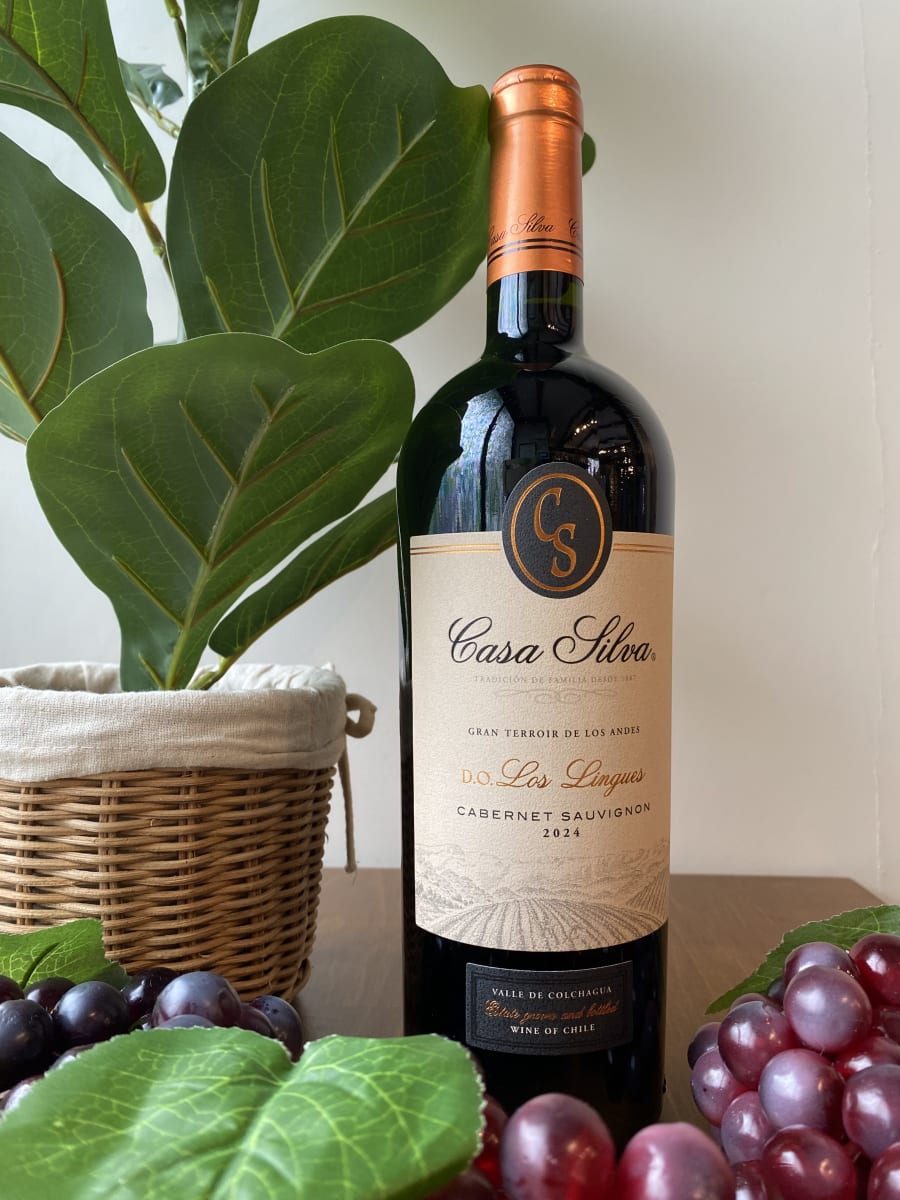 Vino Casa Silva Gran Terroir 750cc3
