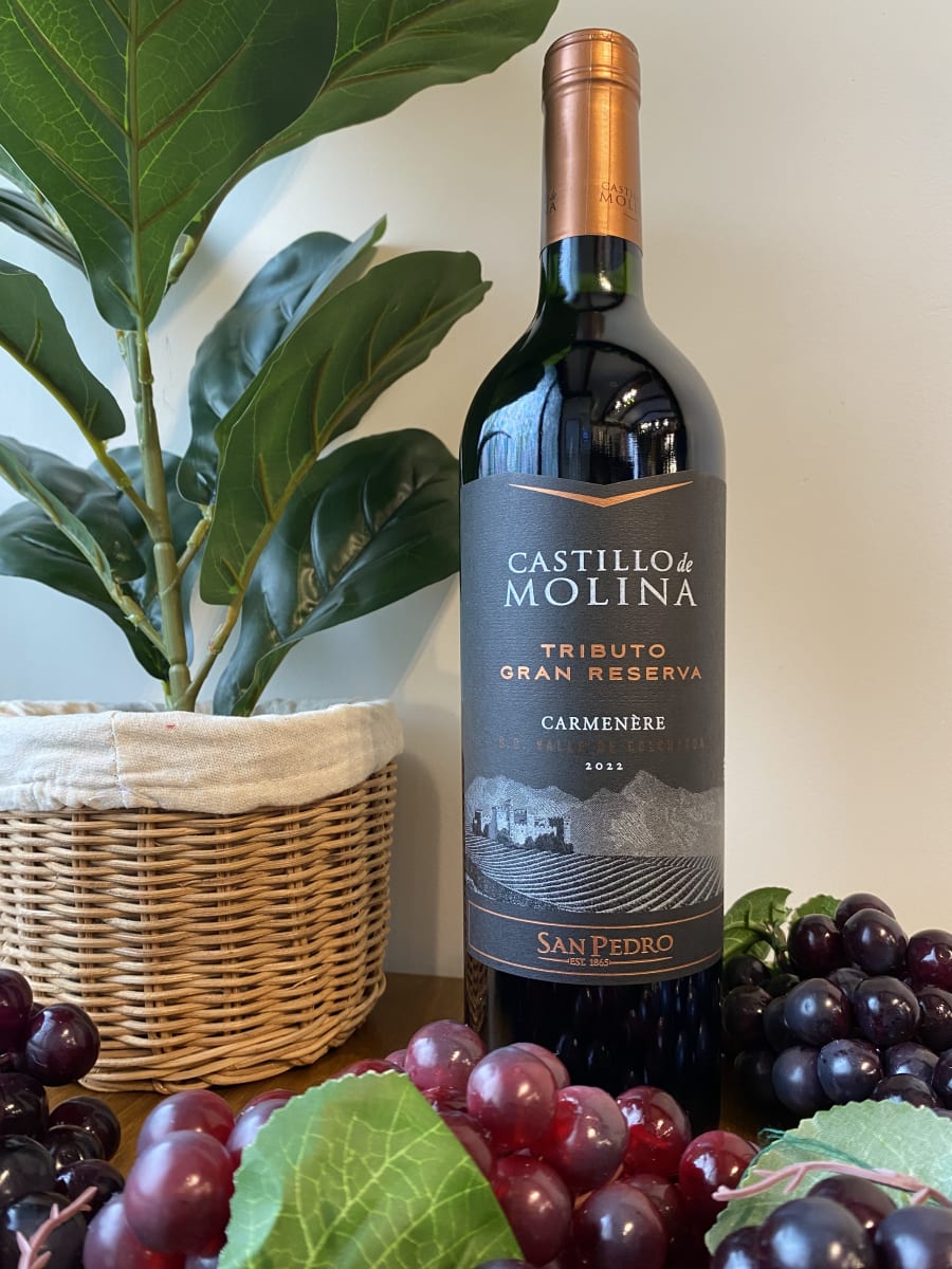Vino Castillo de Molina Tributo 750cc1