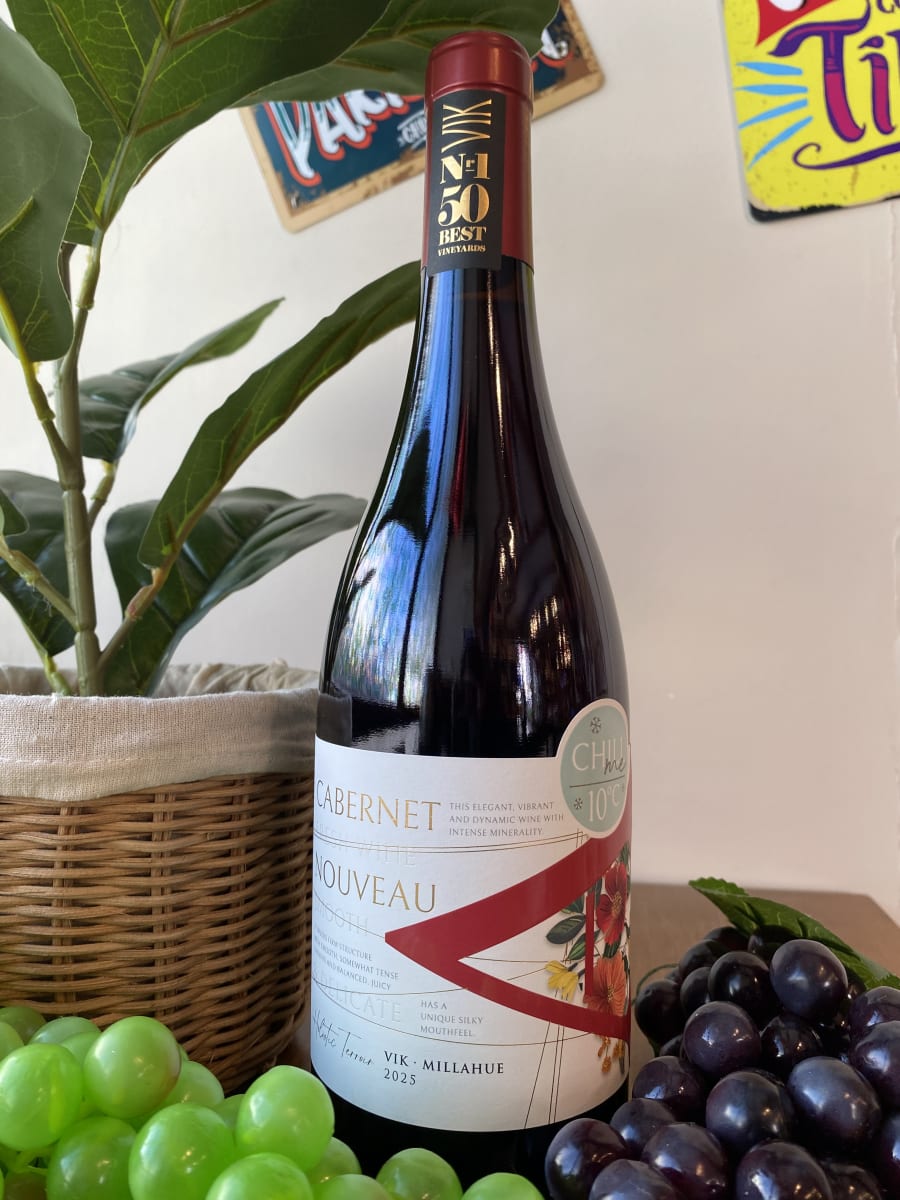 Vino Vik A 750 cc5