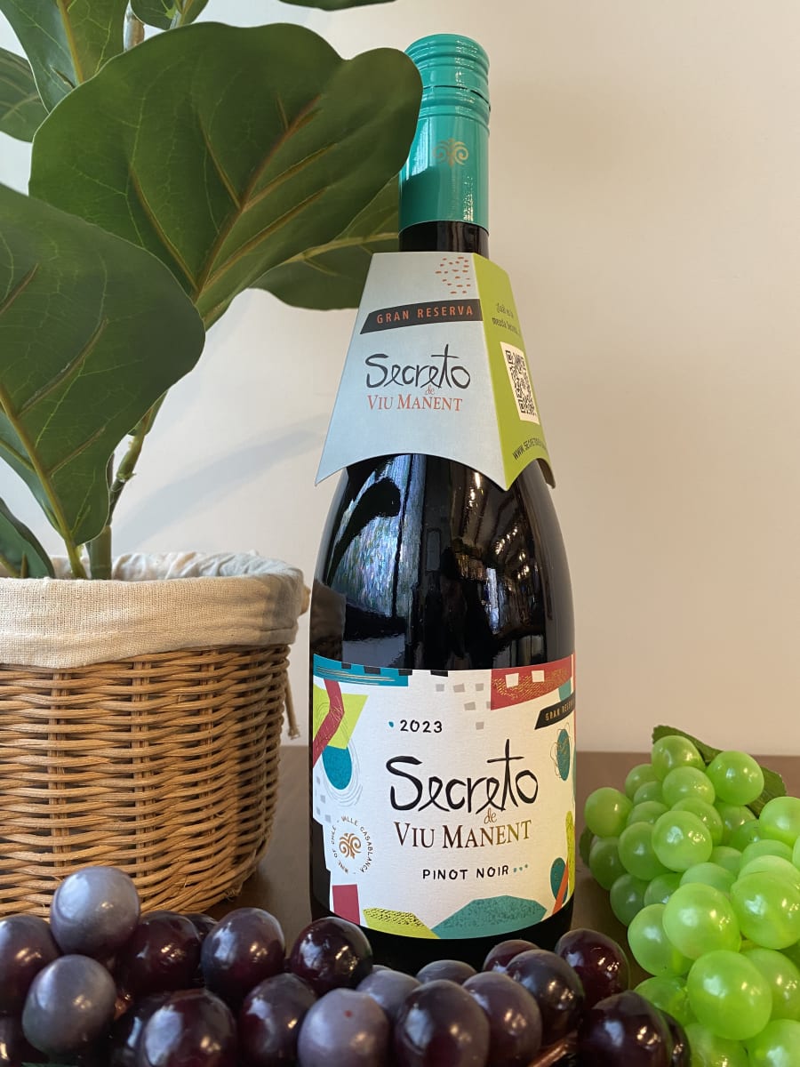 Vino Viu Manent Secreto 750cc4