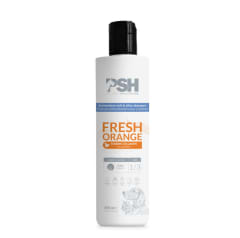 Shampoo Fresh Orange 300 ml