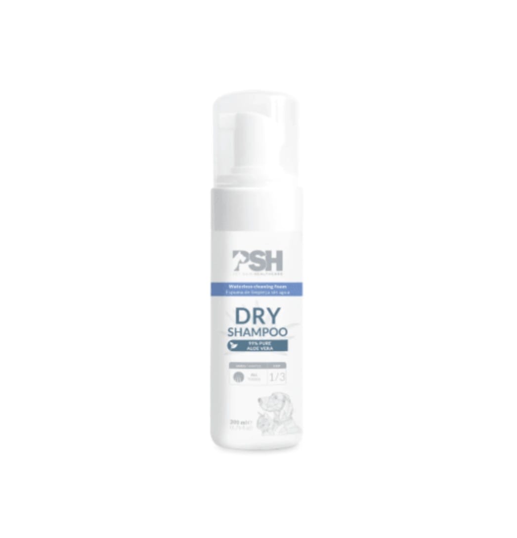 Espuma Dry Shampoo 200 ml1