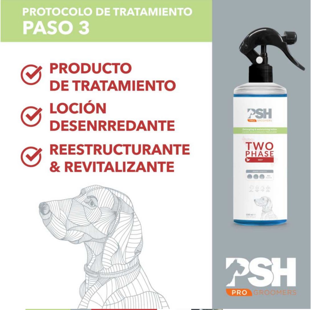 TWO PHASE BIFASICO 500 ML4