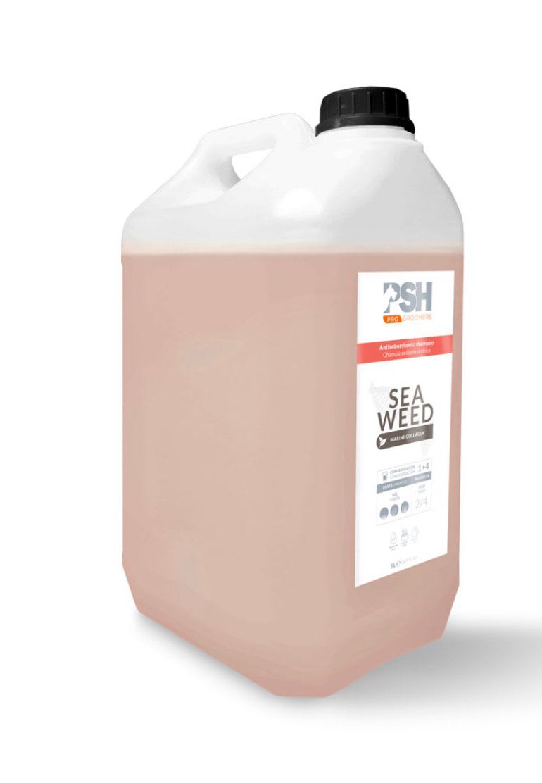 SHAMPOO SEA WEED 5000 ML1