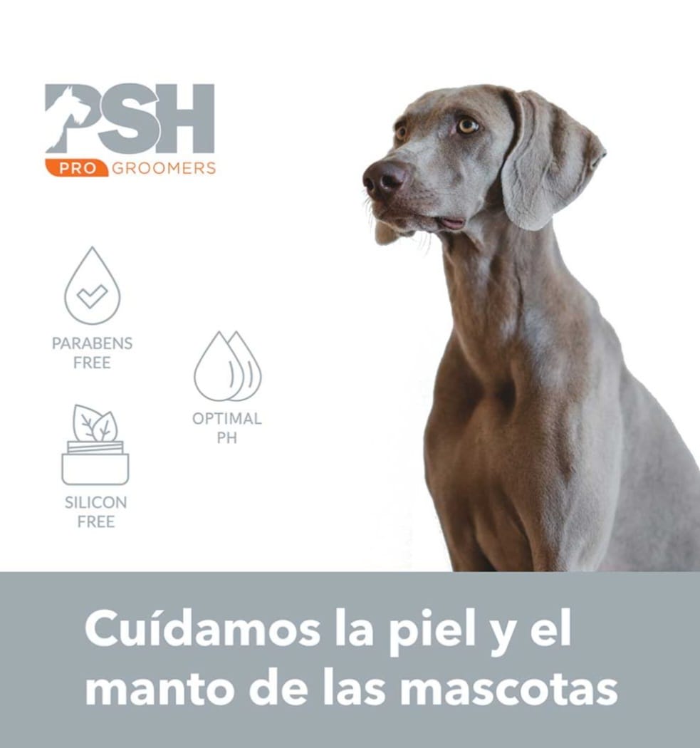 SHAMPOO QUINA ENERGISER 1000 ML2