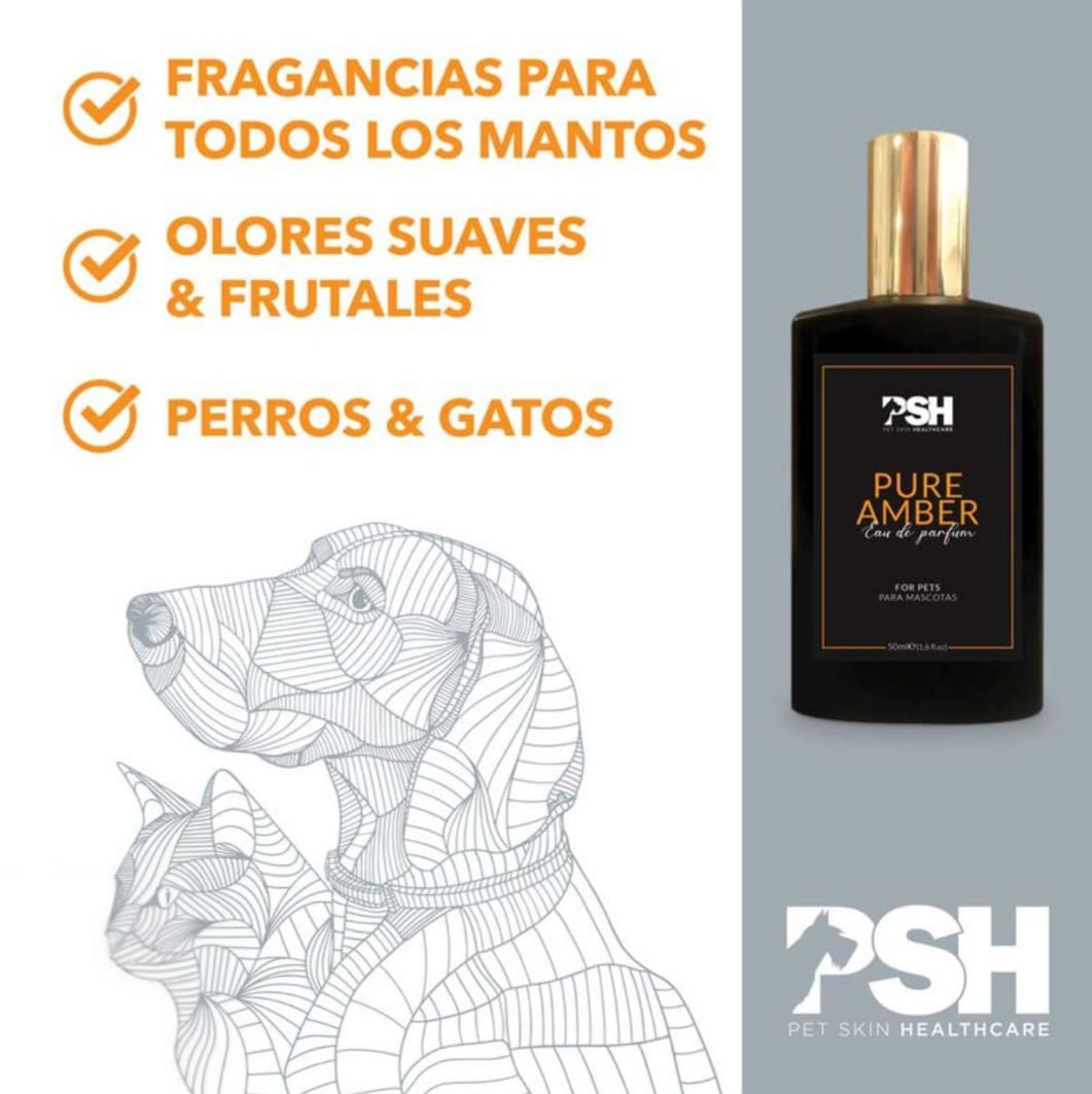 Perfume Pure Amber 50 ml2