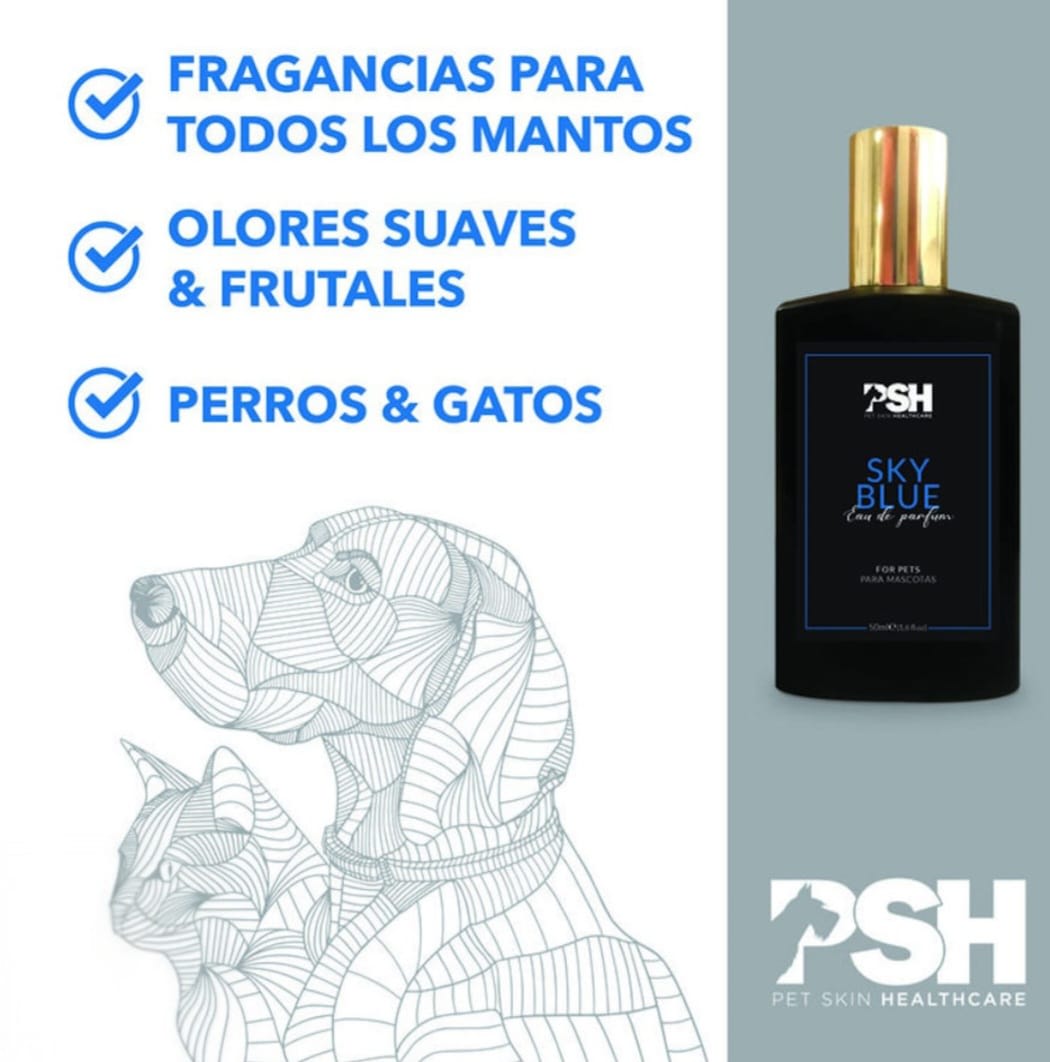 Perfume Sky Blue 50 ml2