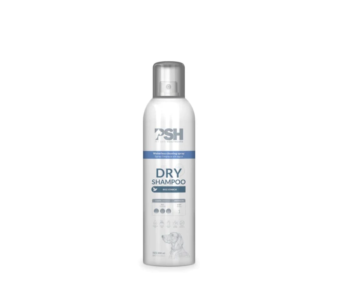 Dry Shampoo1