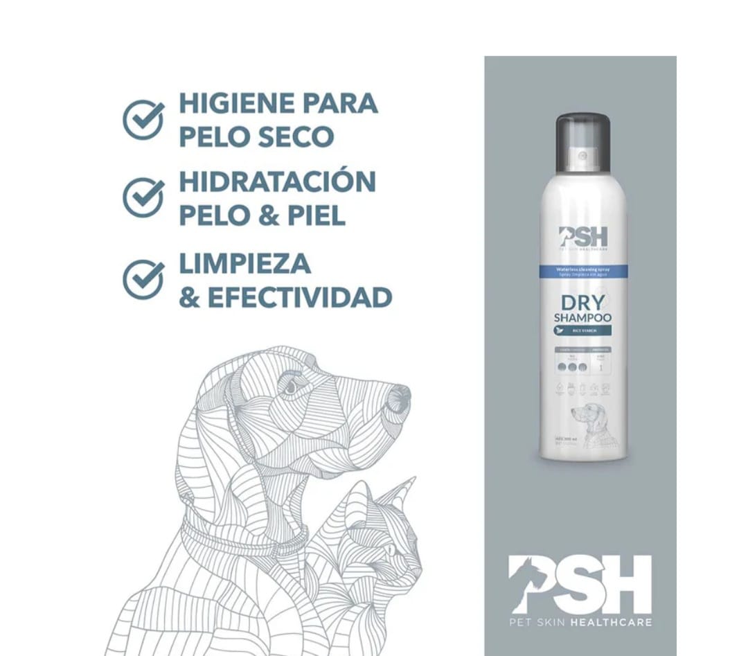 Dry Shampoo2