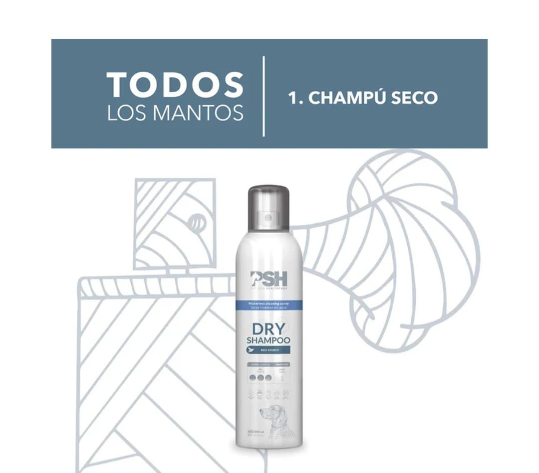 Dry Shampoo3