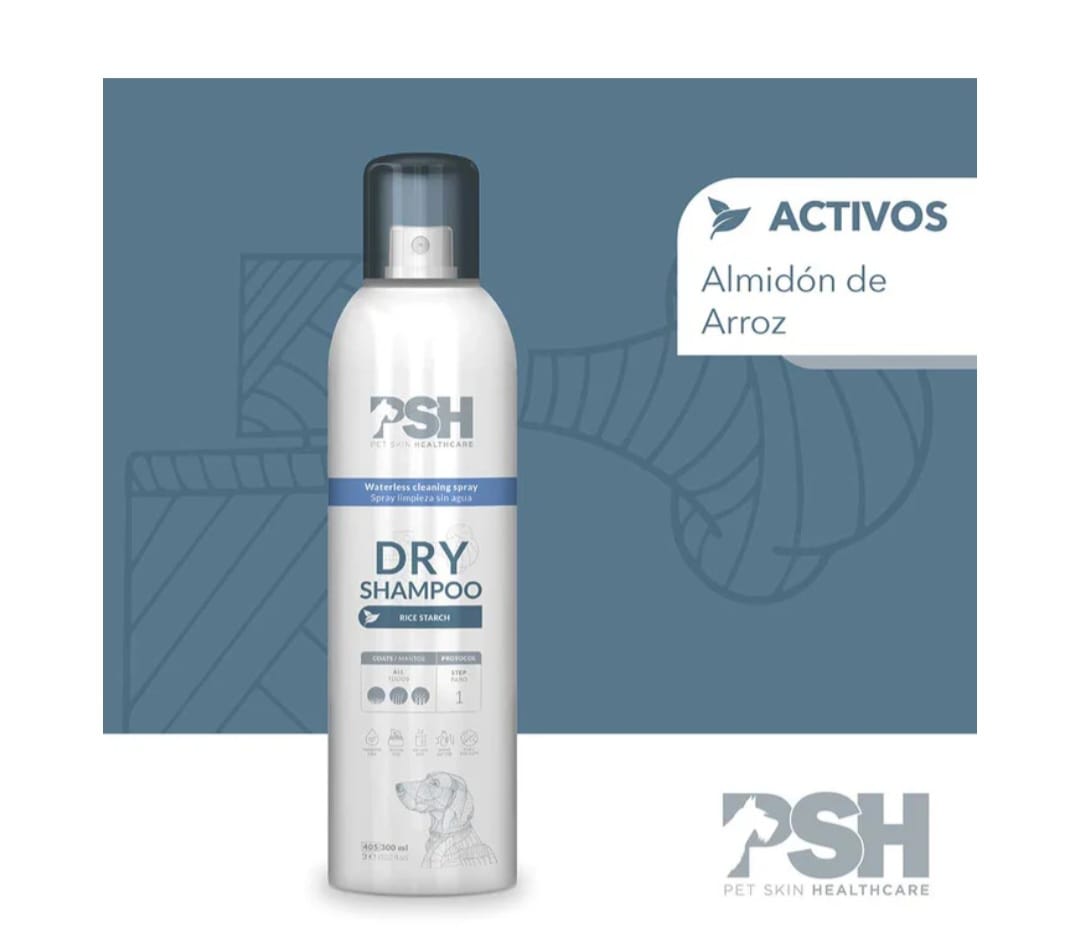 Dry Shampoo4
