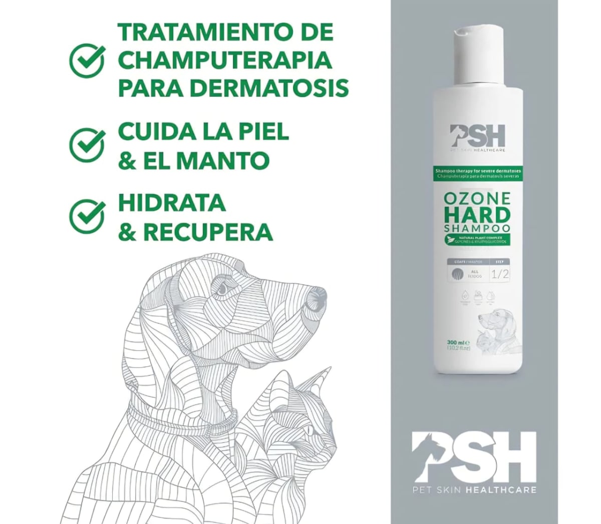 SHAMPOO OZONE HARD 300 ML2