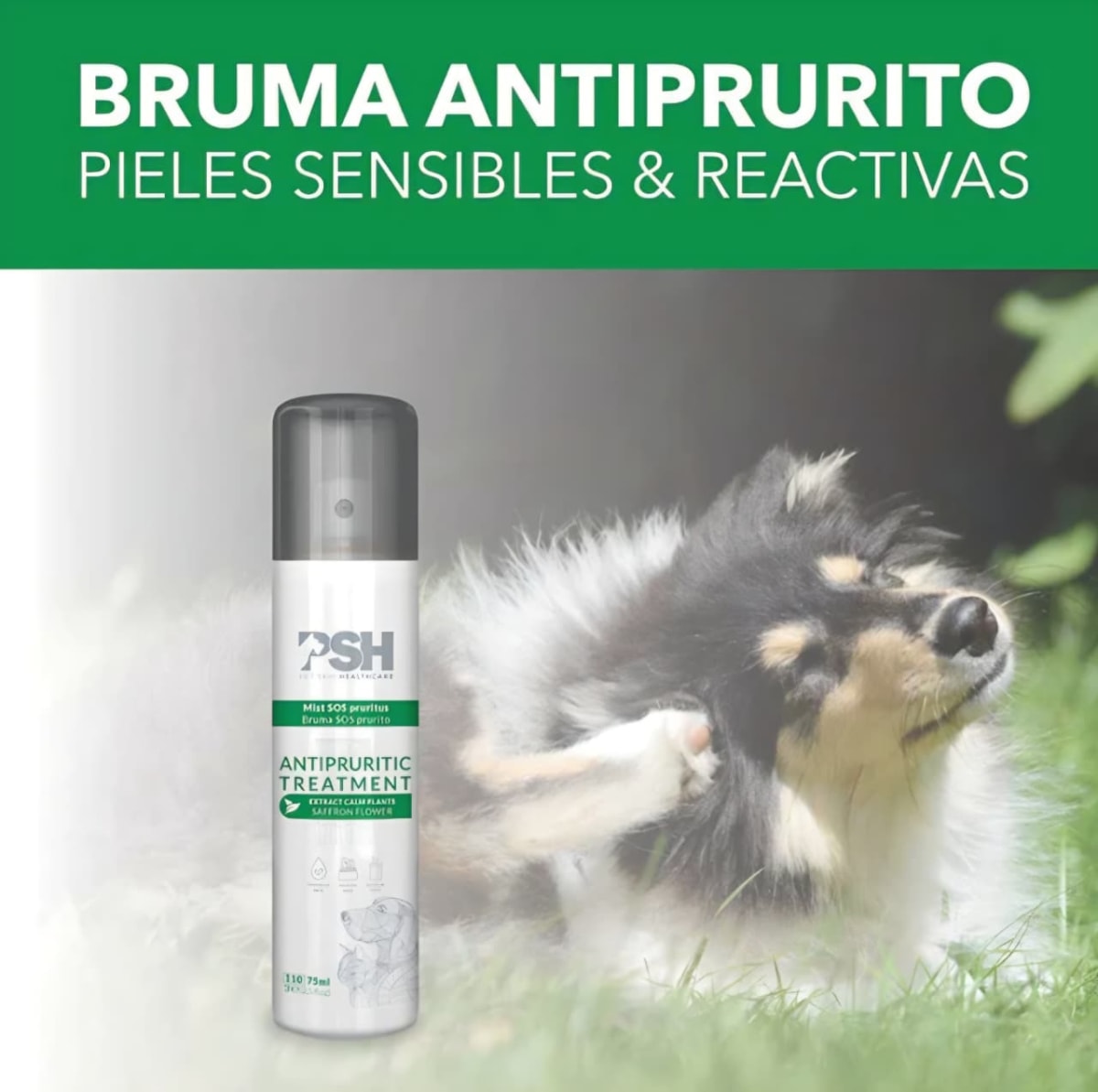 ANTIPURITIC TREATMENT 75ML2