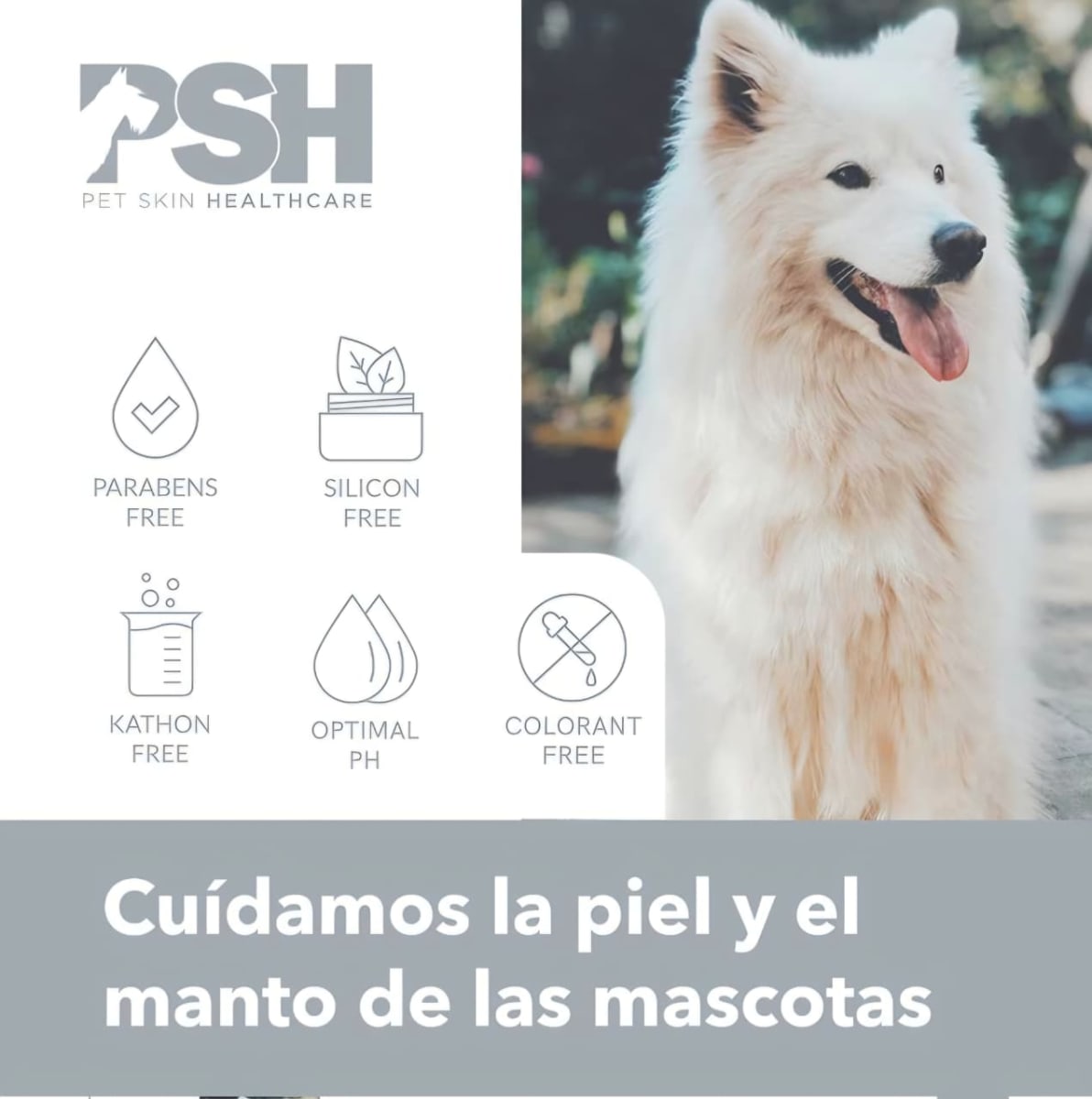 Acondicionador CBD Fusion 300 ml5