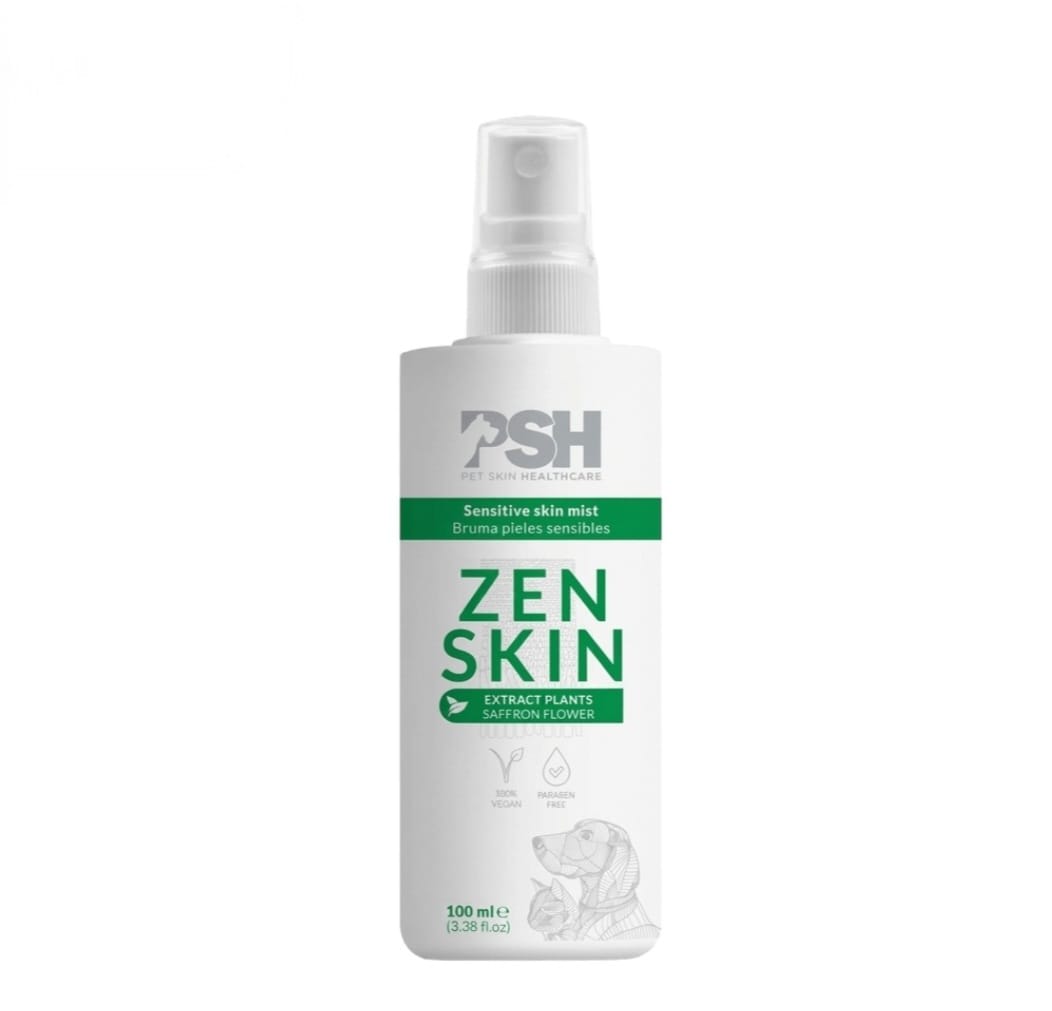 BRUMA ZEN SKIN 100 ML PSH1