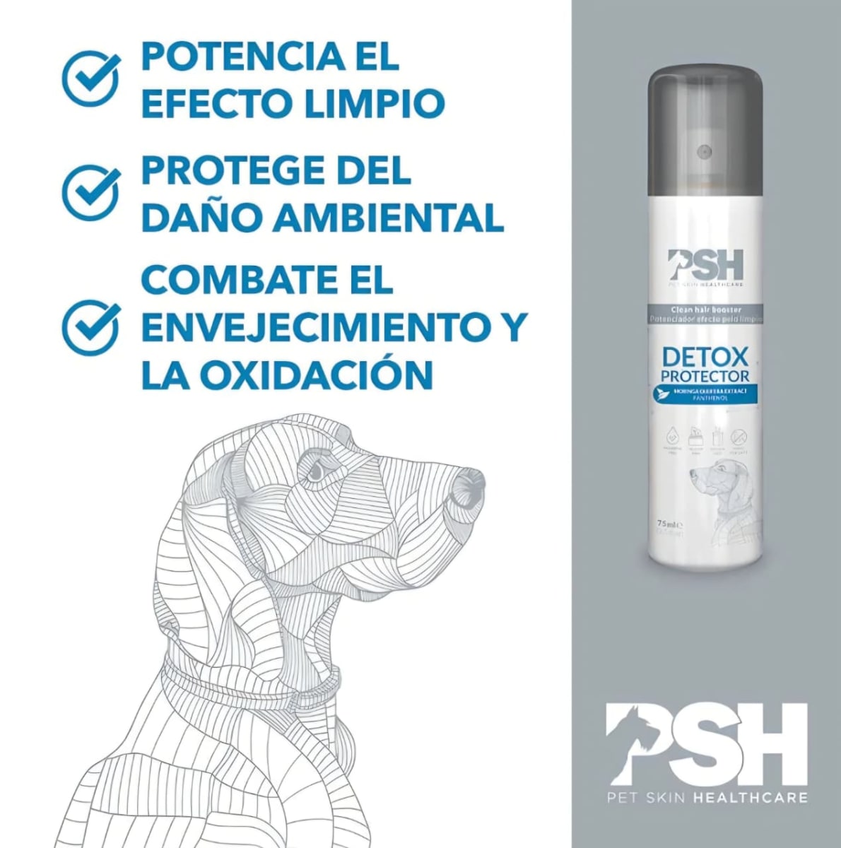Detox Protector Potenciador efecto pelo limpio PSH 75 ml2